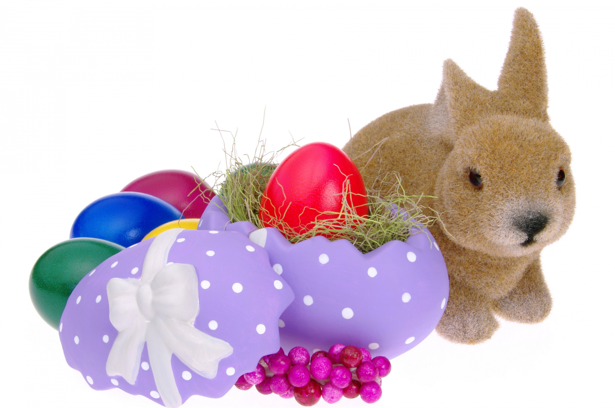 Easter Eggs And Bunny