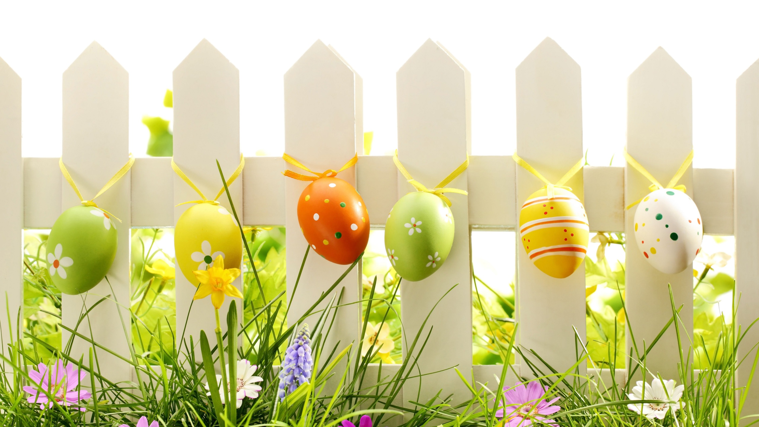 Easter Eggs On Fence