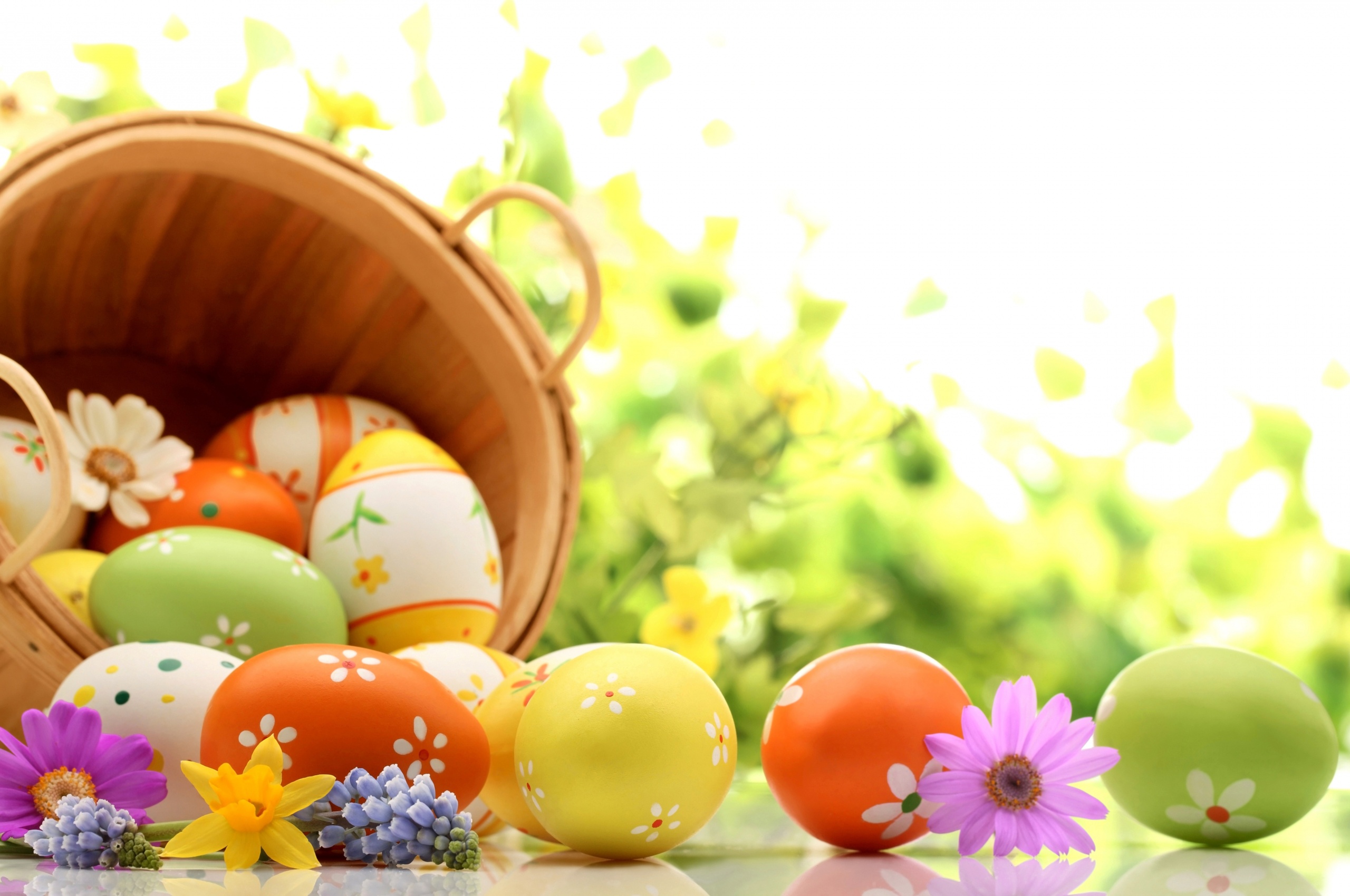 Easter Eggs Spring Wallpaper