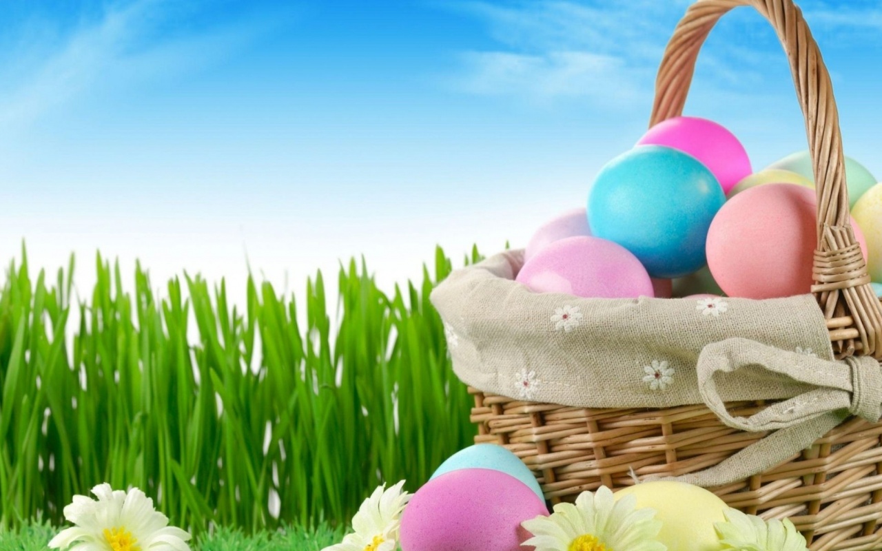 Easter Holiday Eggs Basket Flowers Grass Herbs