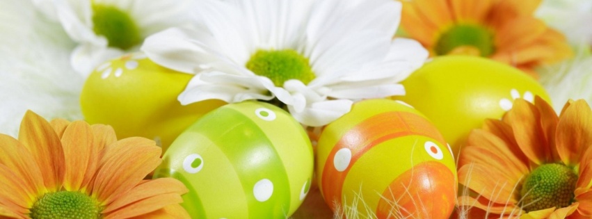Easter Holiday Eggs Flowers Feather