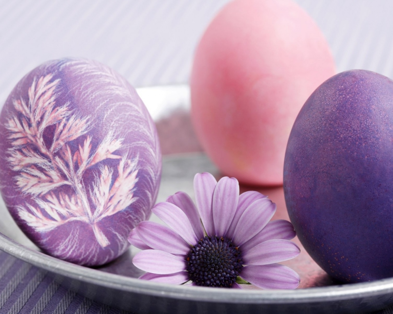 Easter Search Purple Three Image Wallpaper