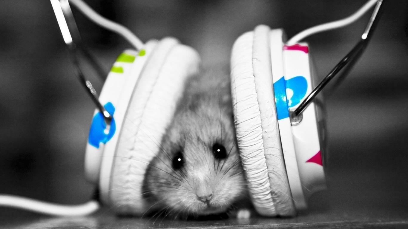 Enjoy Music Animal