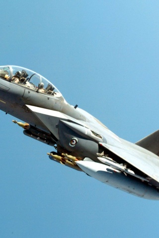 F 15 Eagle 09