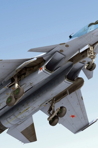 Fighter Close Up