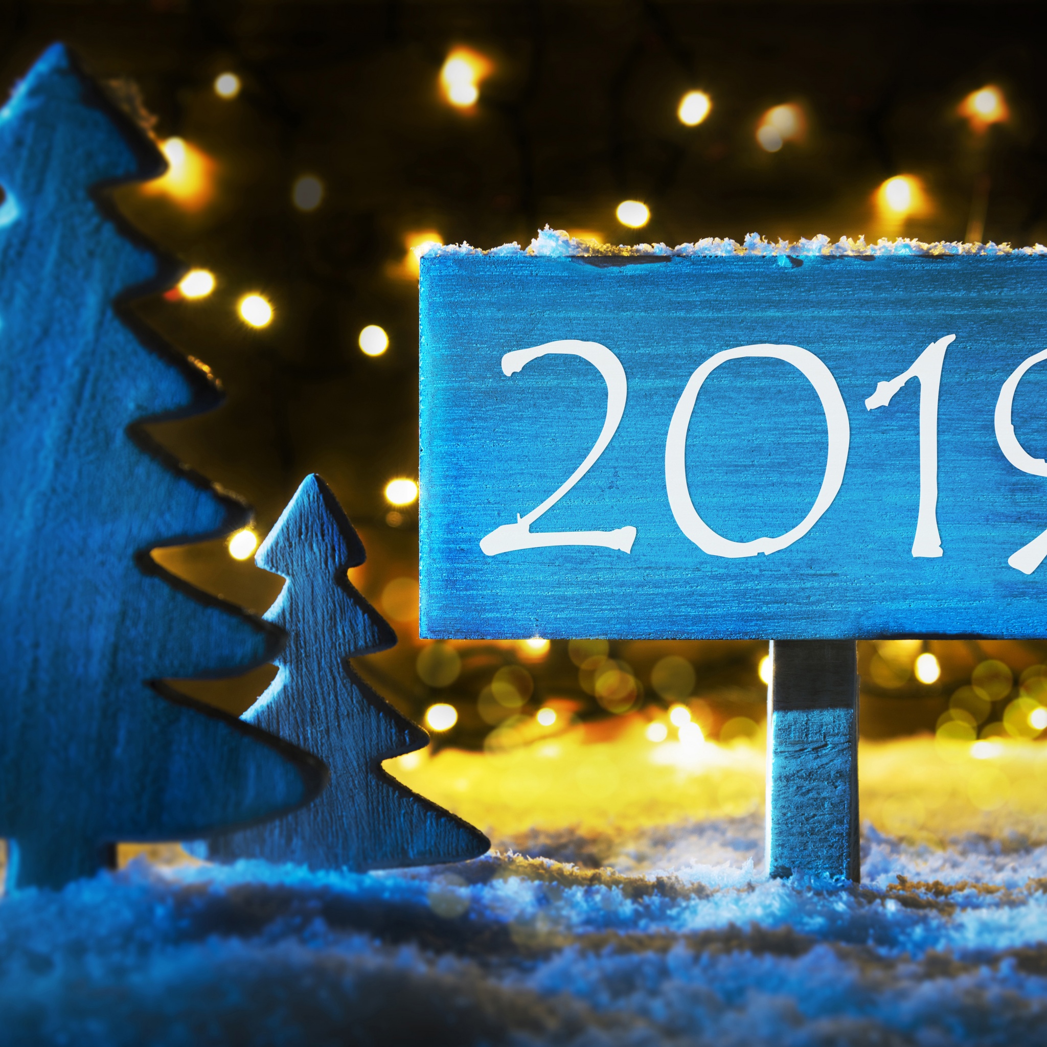 Fir Tree And Sign To 2019 New Year