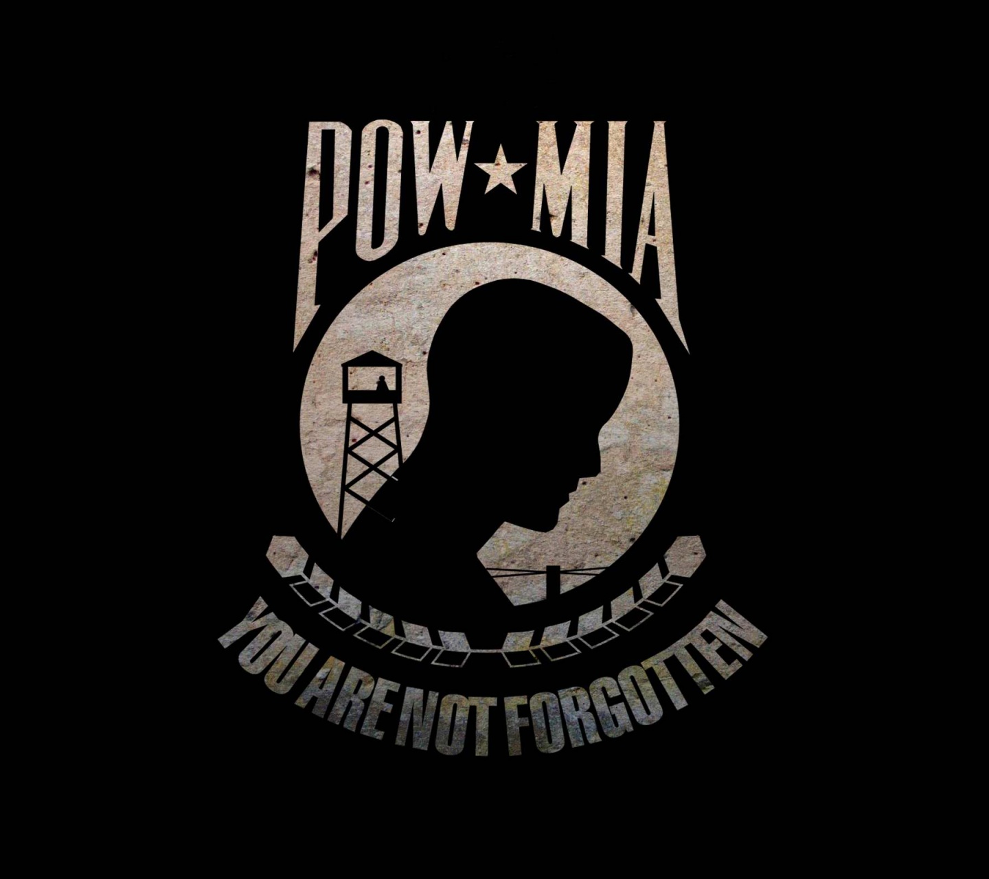 Flag Pow Mia