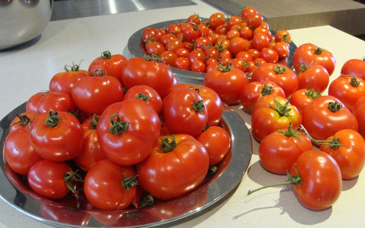 Food Tomatoes 1
