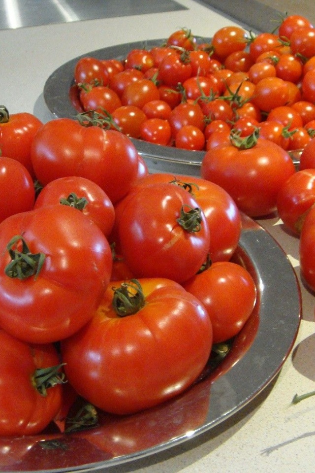 Food Tomatoes 1