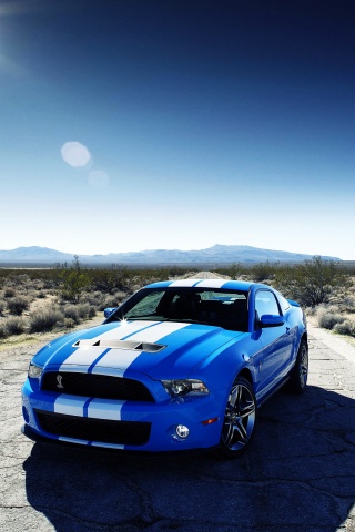 Ford Shelby Gt500 Car