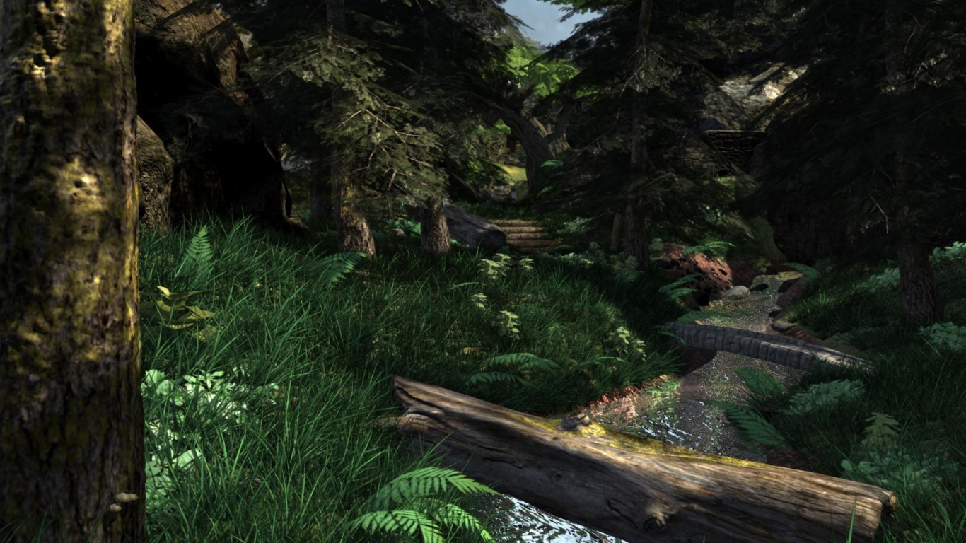 Forest Render Still High Nature Others 3D