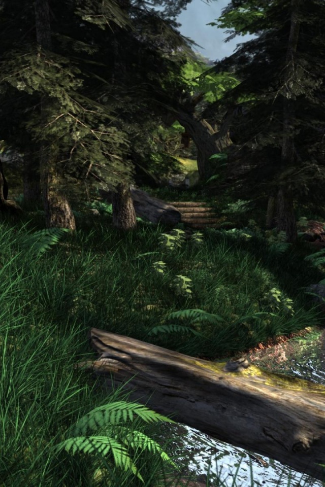 Forest Render Still High Nature Others 3D