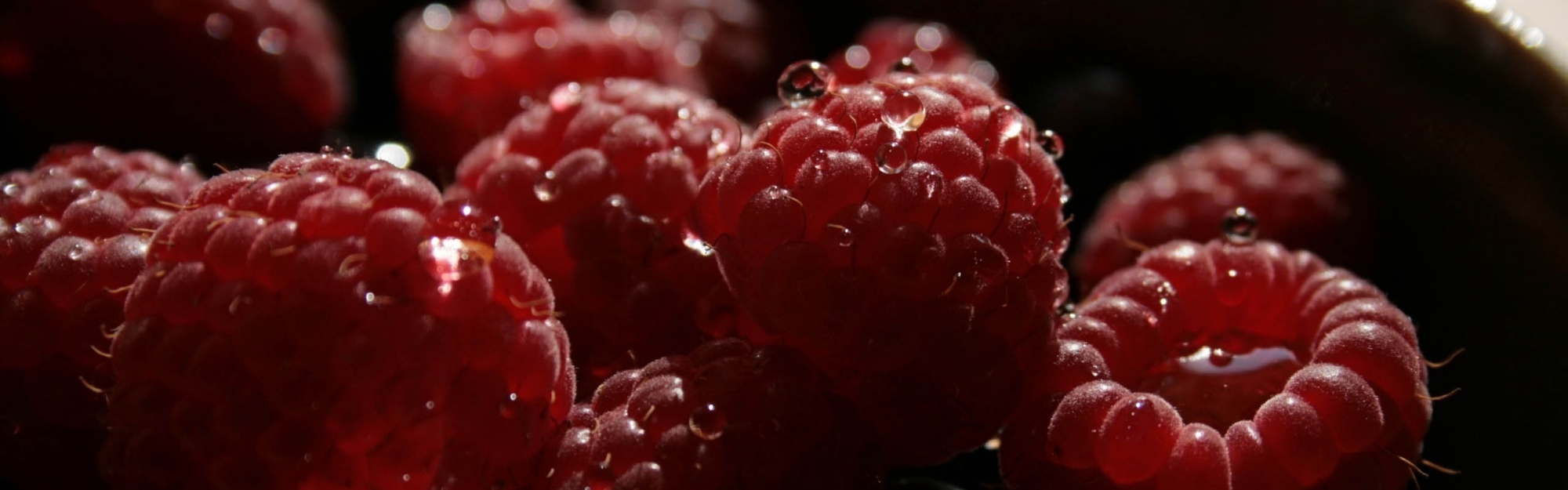 Fresh Raspberries