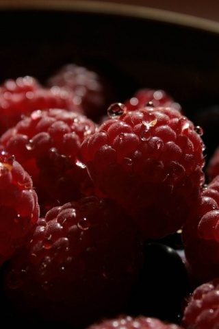 Fresh Raspberries