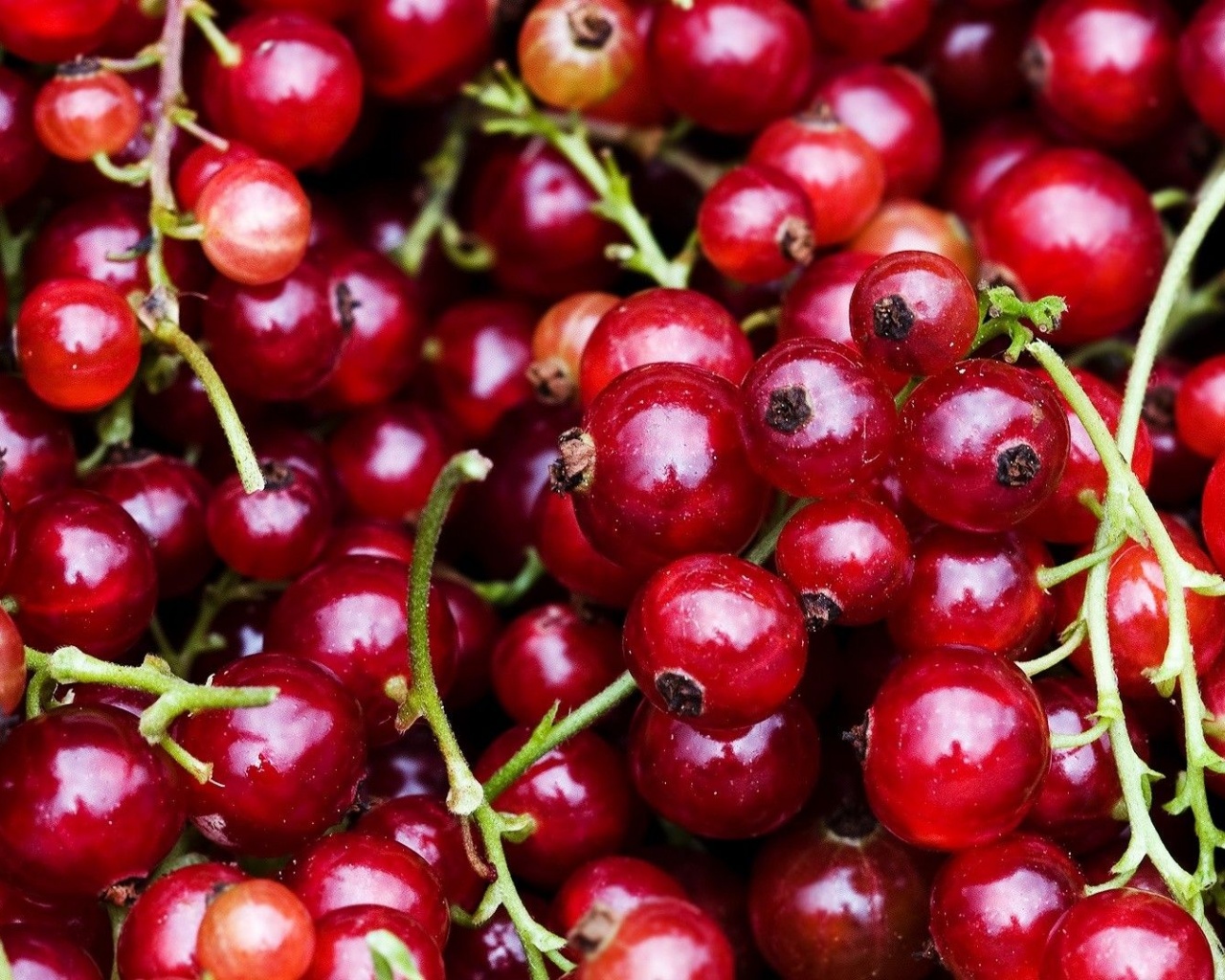 Fruit Food Berries