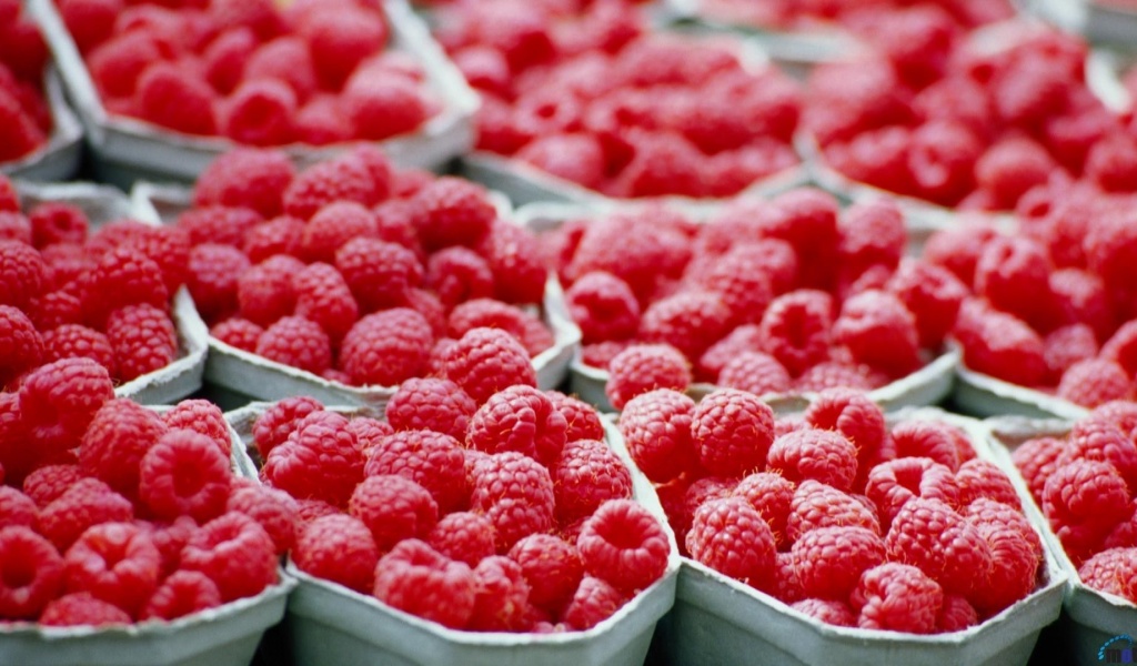 Fruits Food Berries Rasberries