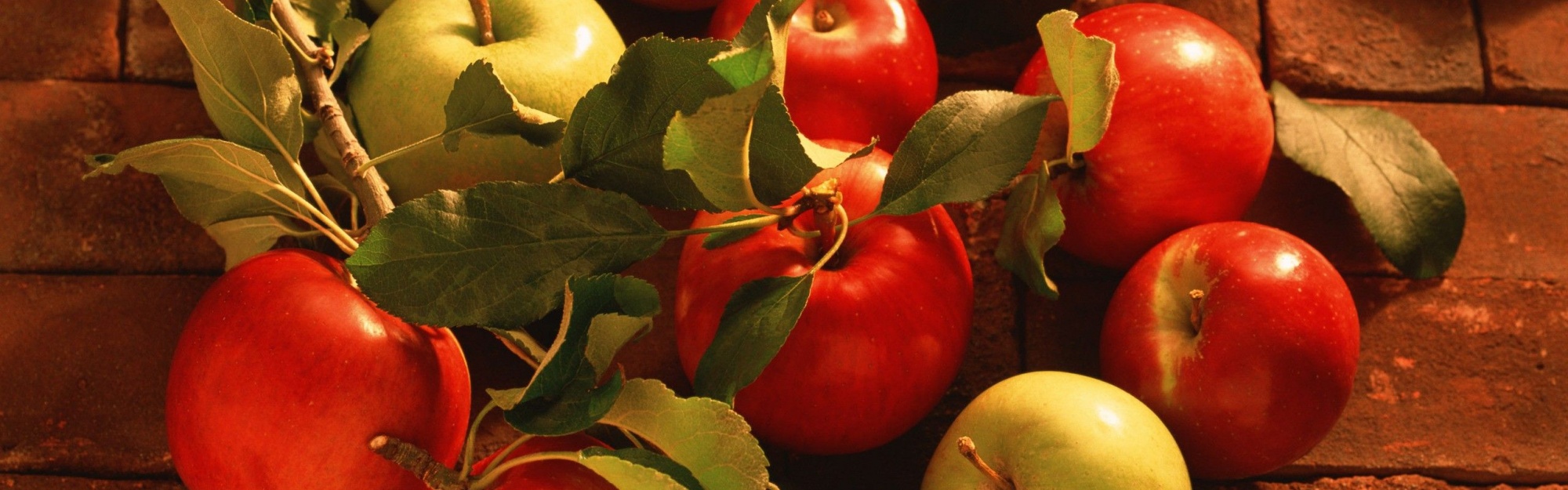 Fruits Food Bricks Apples