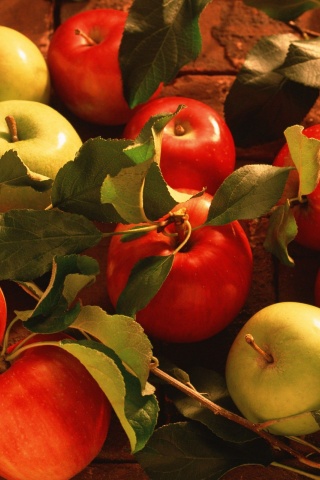 Fruits Food Bricks Apples