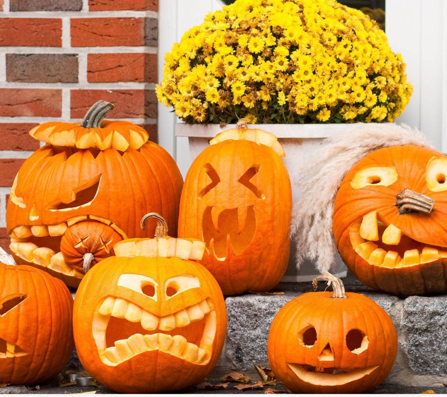 Funny Halloween Pumpkins