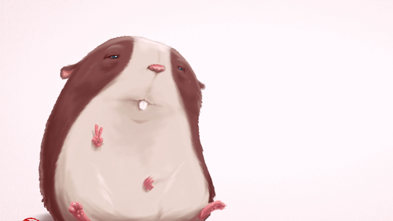 Funny Hamster