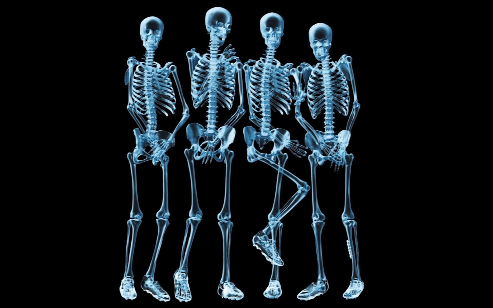 Funny Skeletons Xray