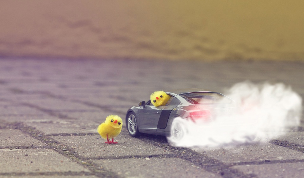 Funny Yellow Chickens In Audi R8