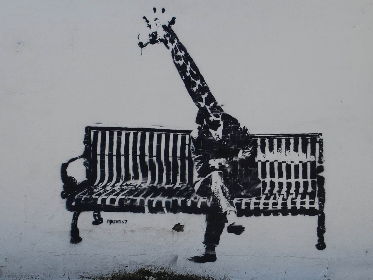 Giraffe Graffiti