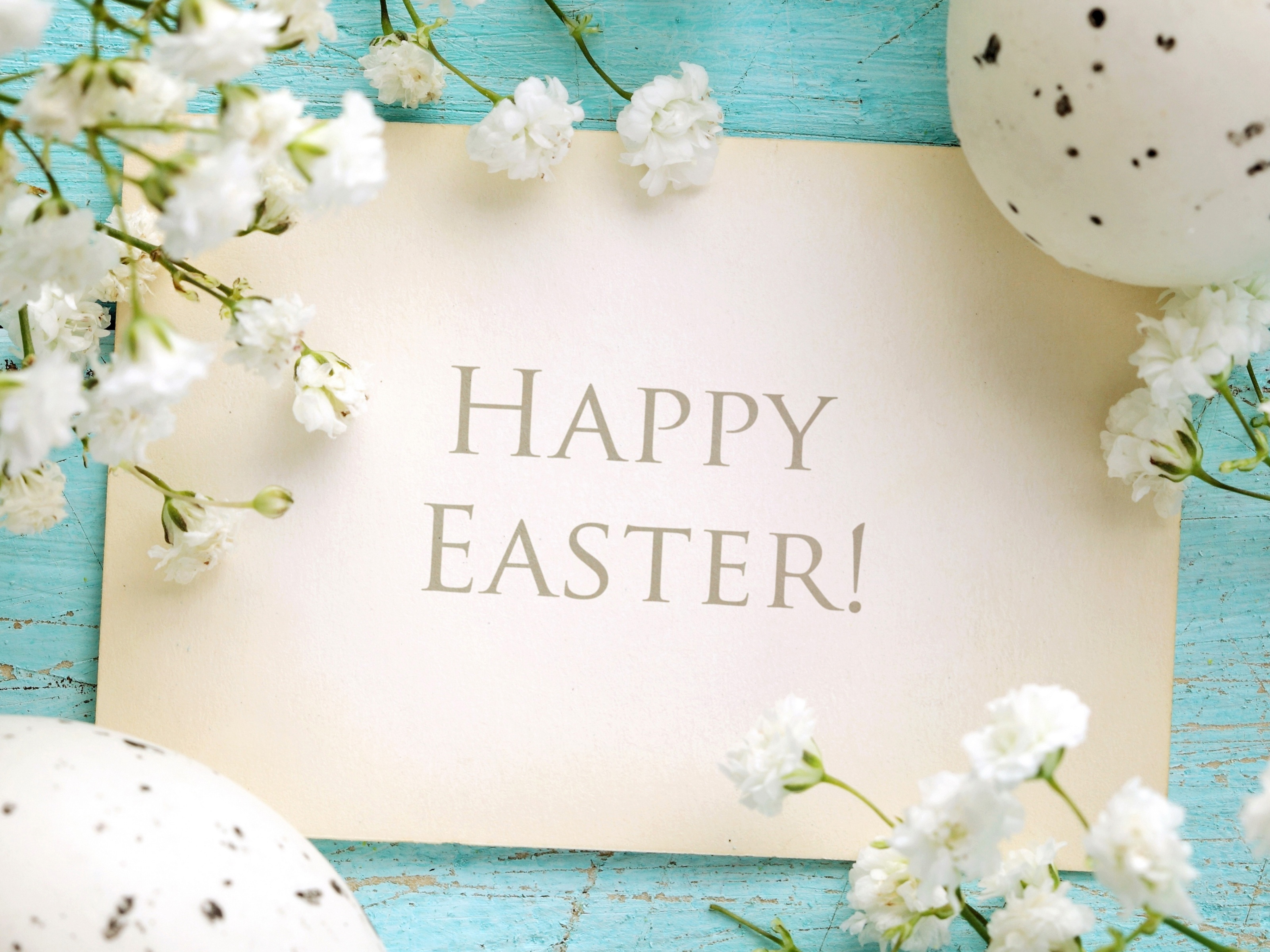 Happy Easter Greetings