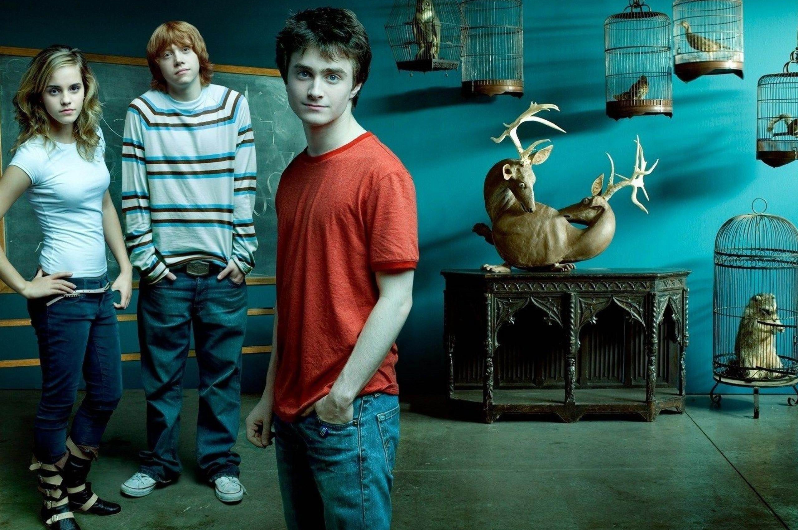 Harry Potter Emma Watson Rupert Grint Daniel Radcliffe