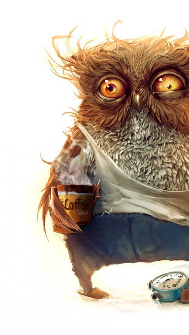 Hobo Owl