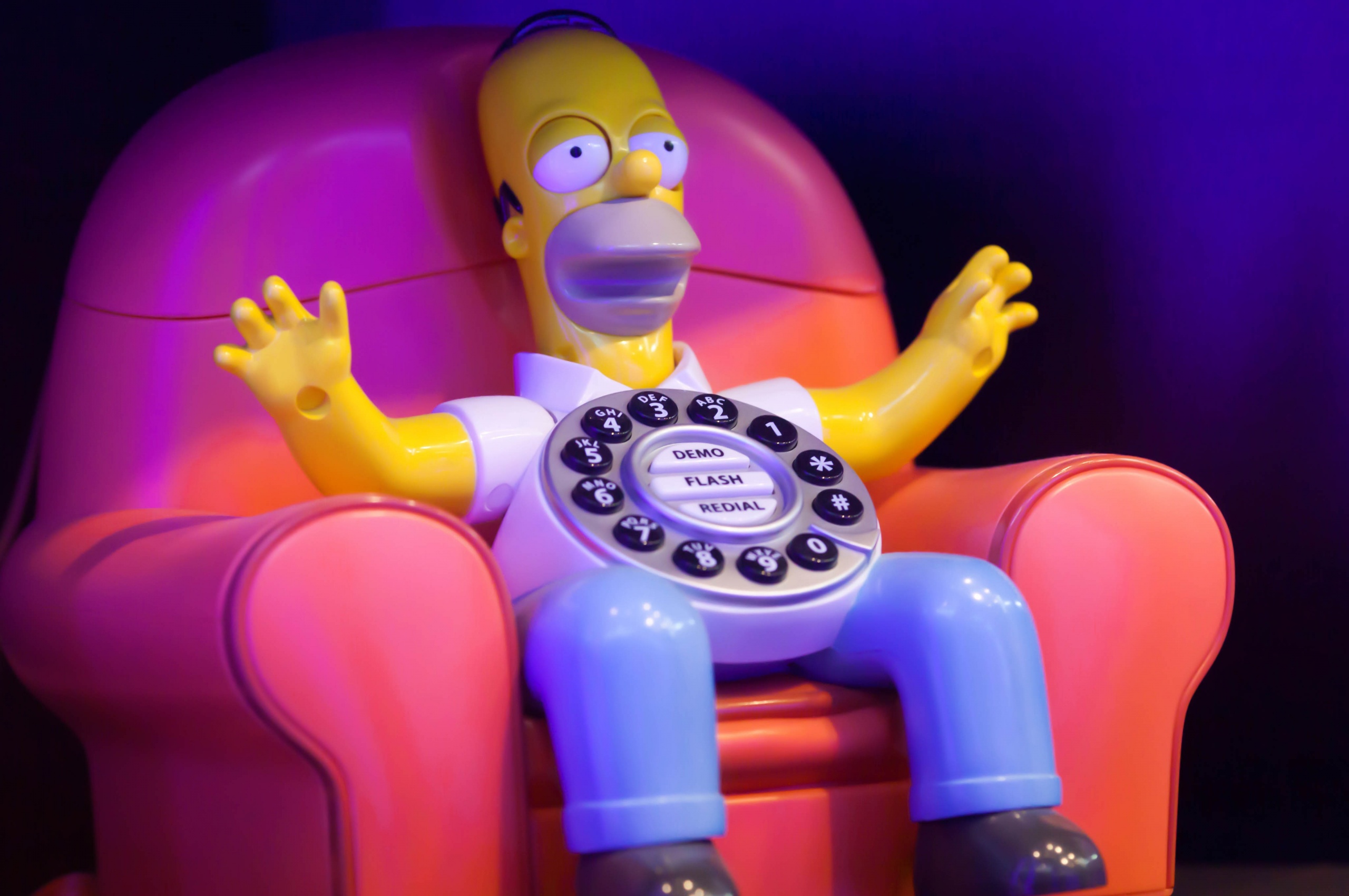 Homer Calls Home