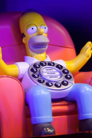 Homer Calls Home