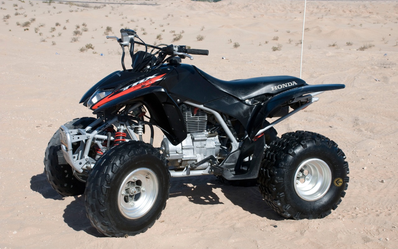 Honda Trx 250 Rx