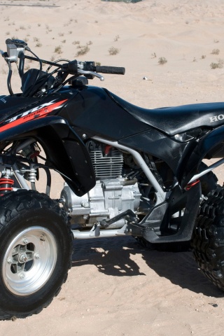 Honda Trx 250 Rx