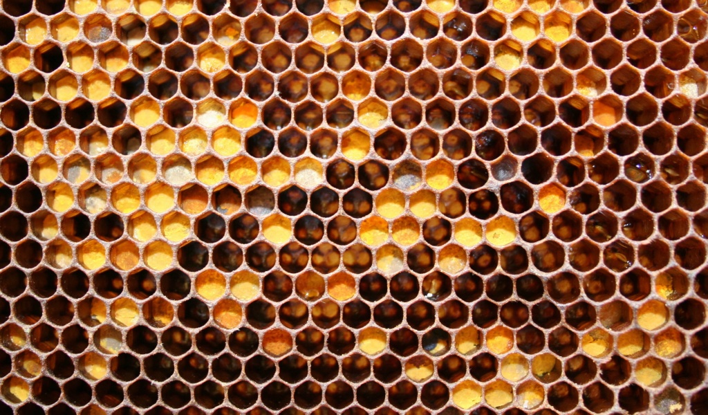 Honeycomb