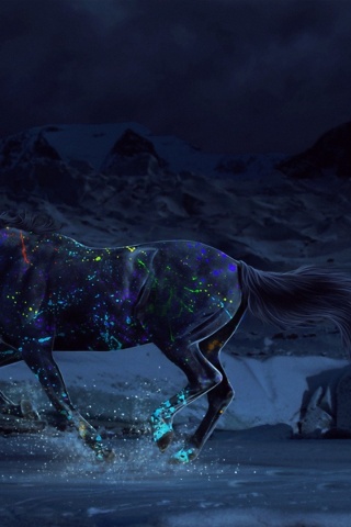 Horse Paints Water Gallop Night