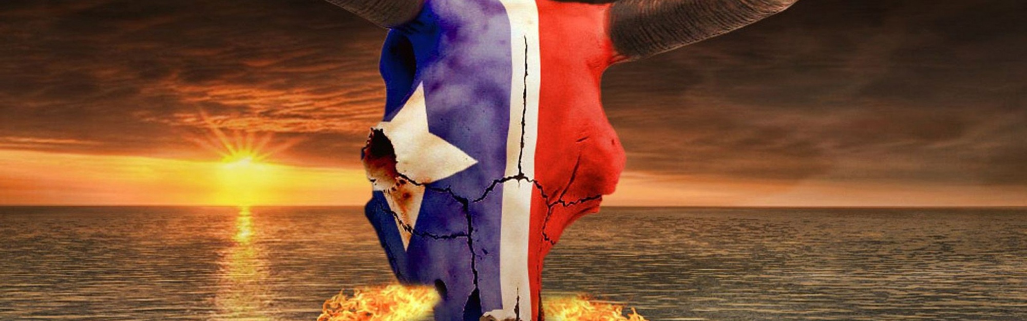 Houston Texans American Football Mascot Toro