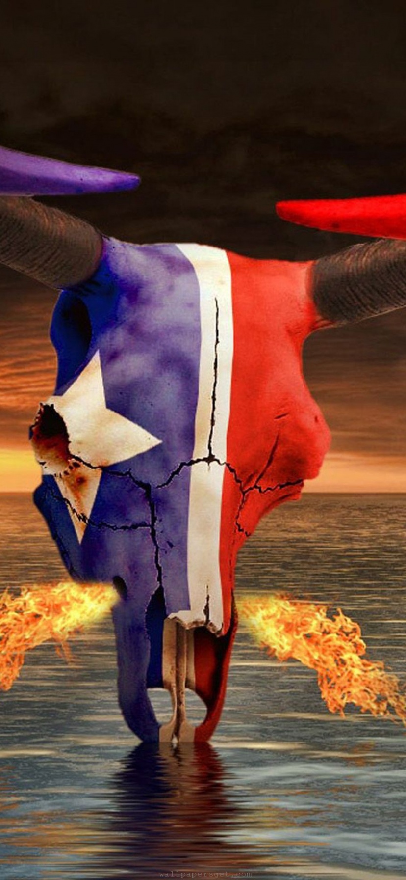 Houston Texans American Football Mascot Toro