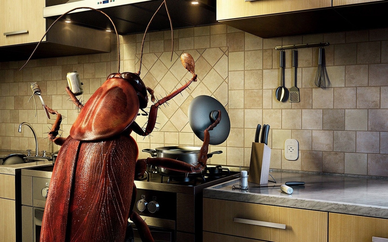 Humor Funny Bug Kitchen Cooking Photomanipulations