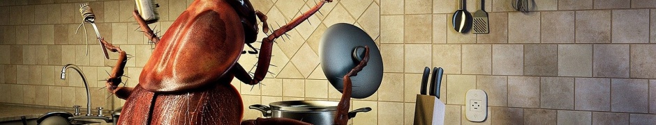 Humor Funny Bug Kitchen Cooking Photomanipulations