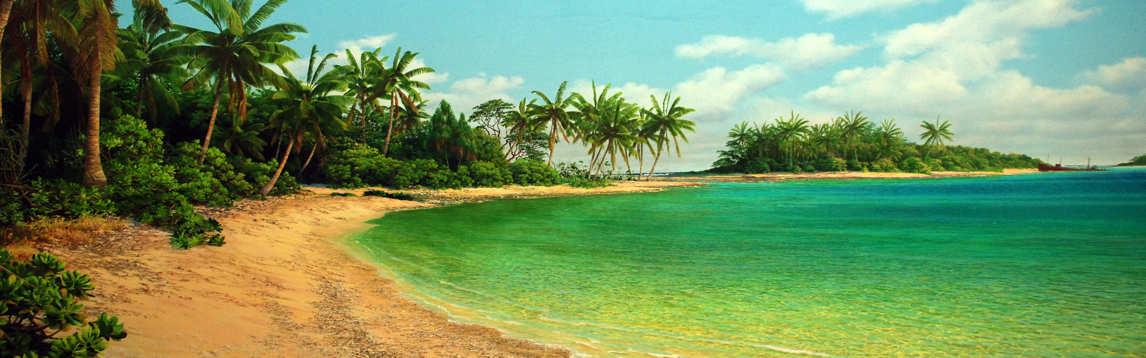 Island Sea Palms Shore Beach