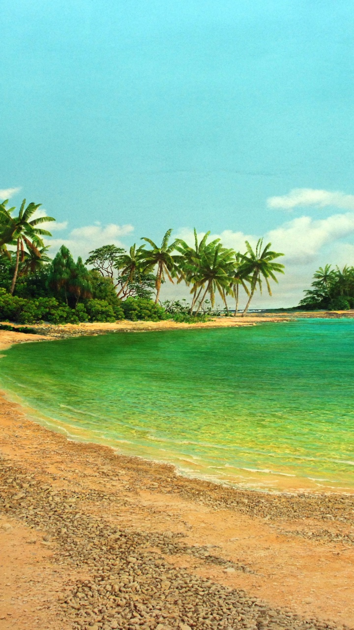 Island Sea Palms Shore Beach