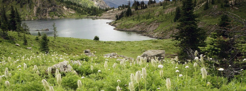 Lake Lawn Nature Landscape