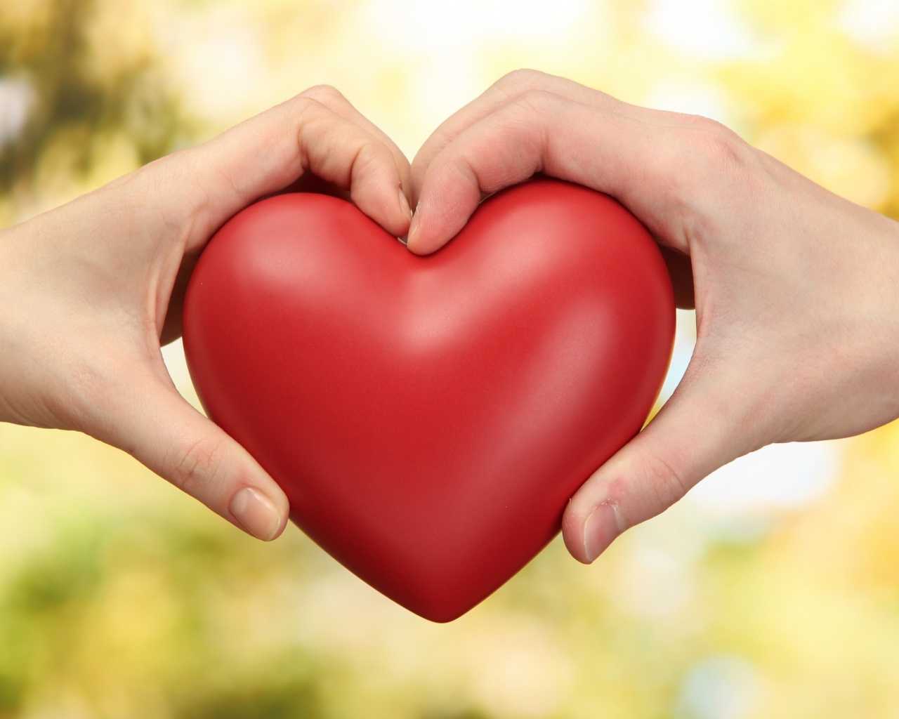 Love Heart Hands Valentines Day