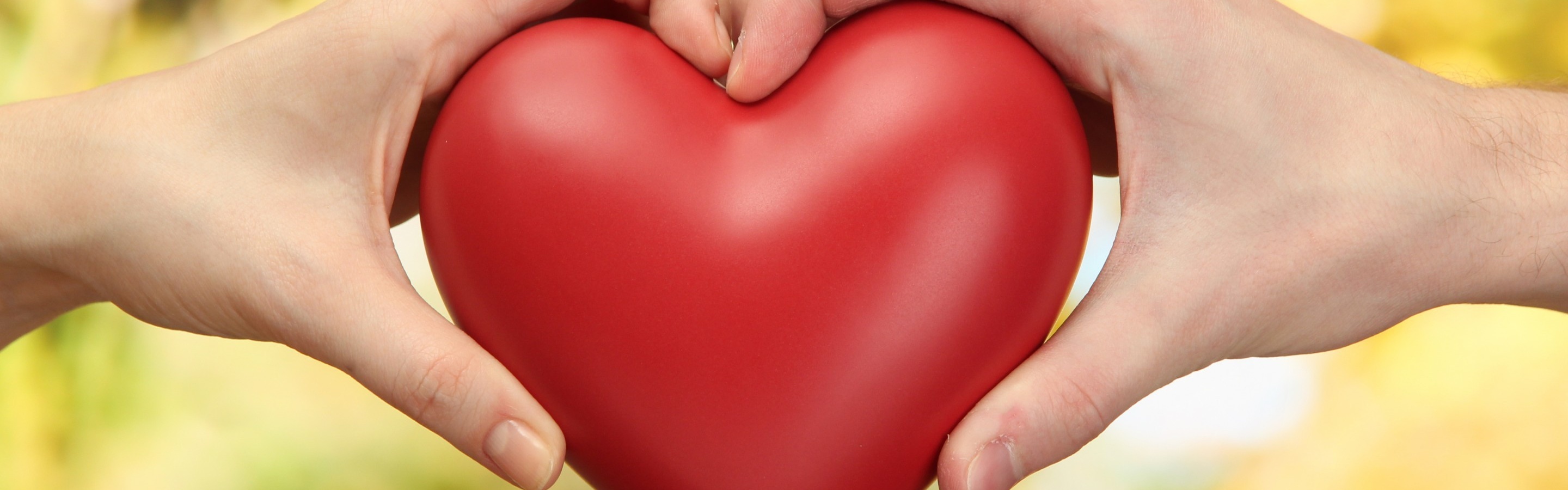 Love Heart Hands Valentines Day