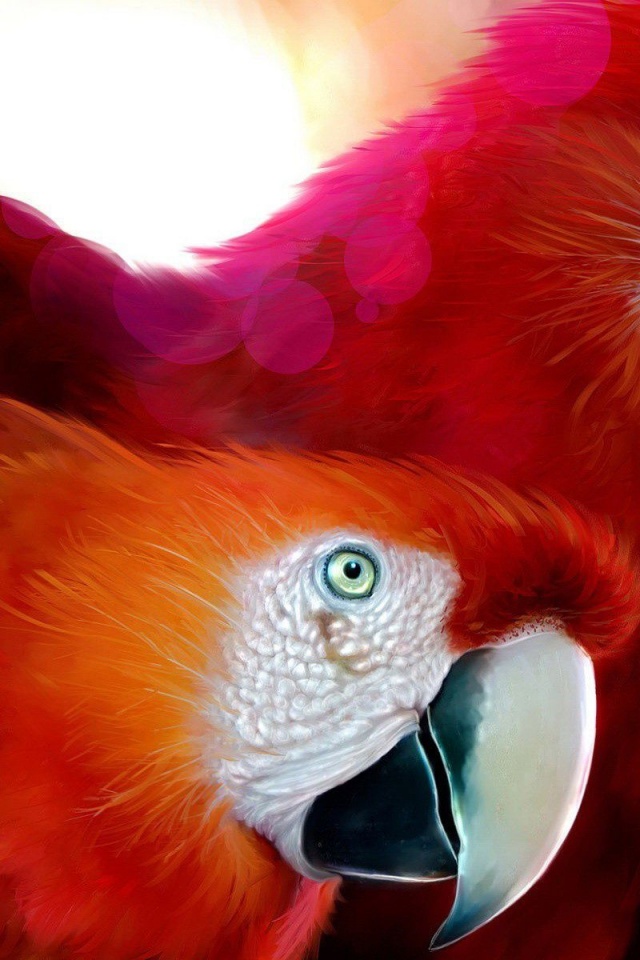 Macaw Parrot Bird