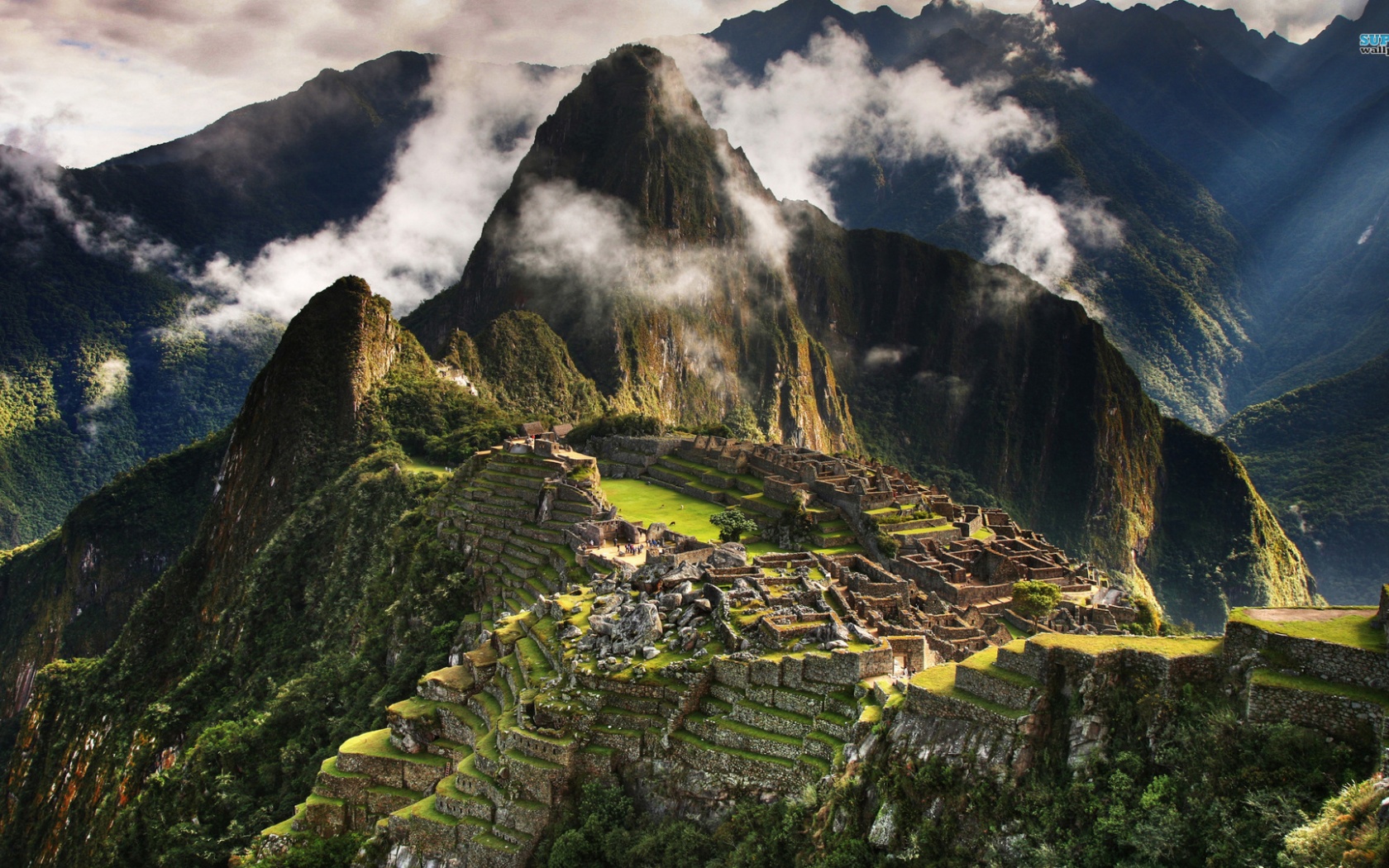 Machu Picchu Nature1