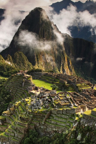 Machu Picchu Nature1