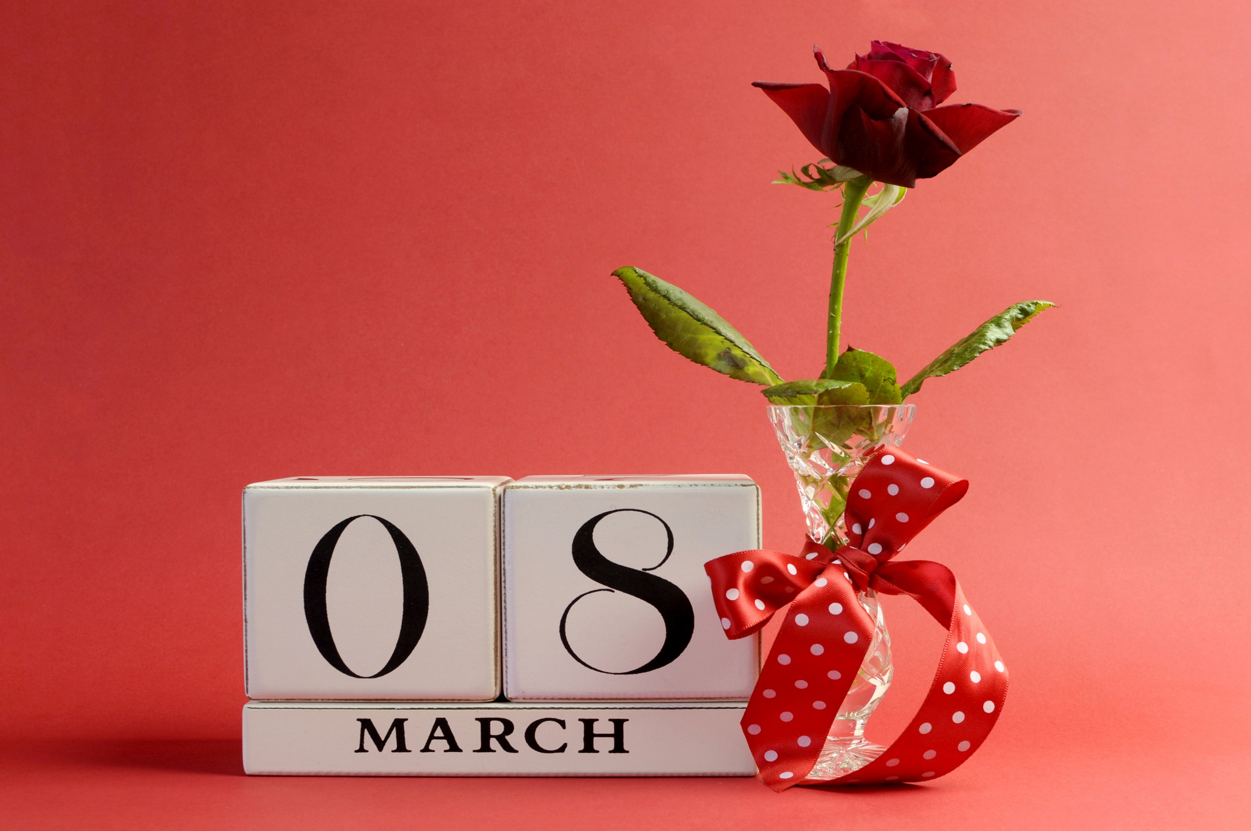 March 8 Roses Holidays