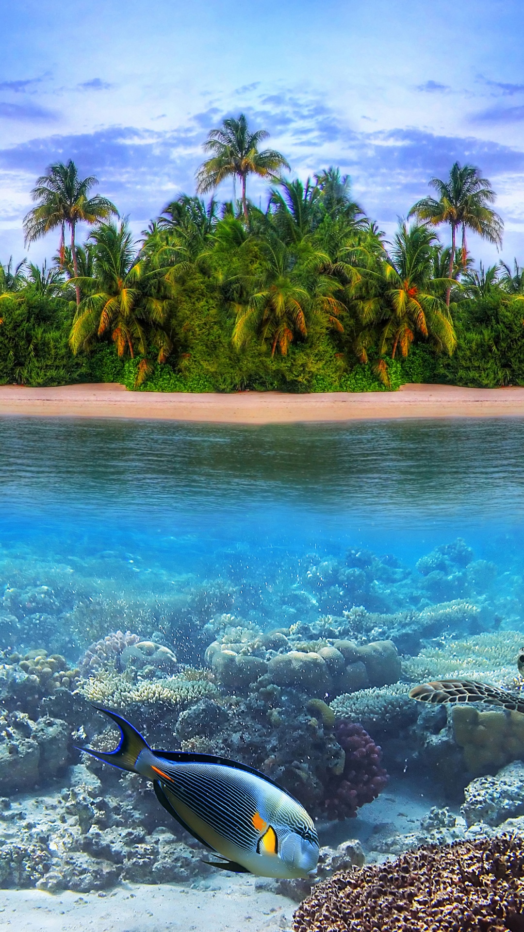 Marine Llife On A Tropical Island